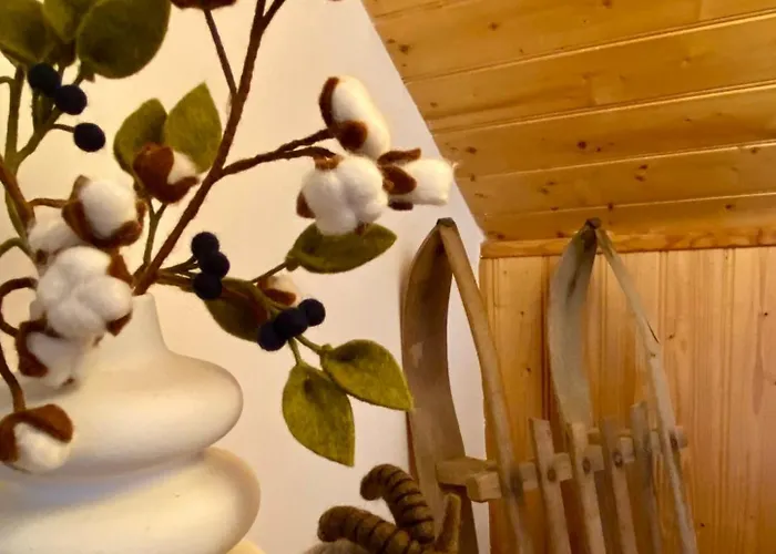 Etchourot Lejlighed Cauterets